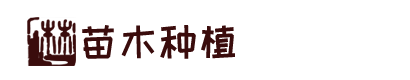 凯时kb优质运营商